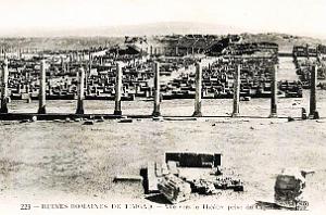 Timgad - Ruines Romaines - Vue vers Theatre